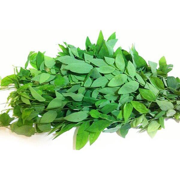 Shop Midori_Gói hạt giống rau ngót