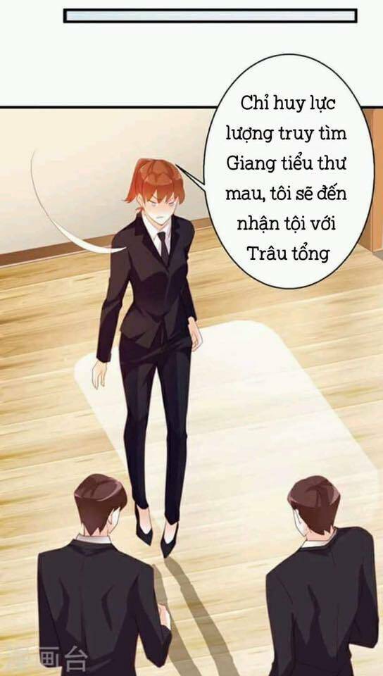 người vợ bí ẩn của tổng tài chapter 13 22
