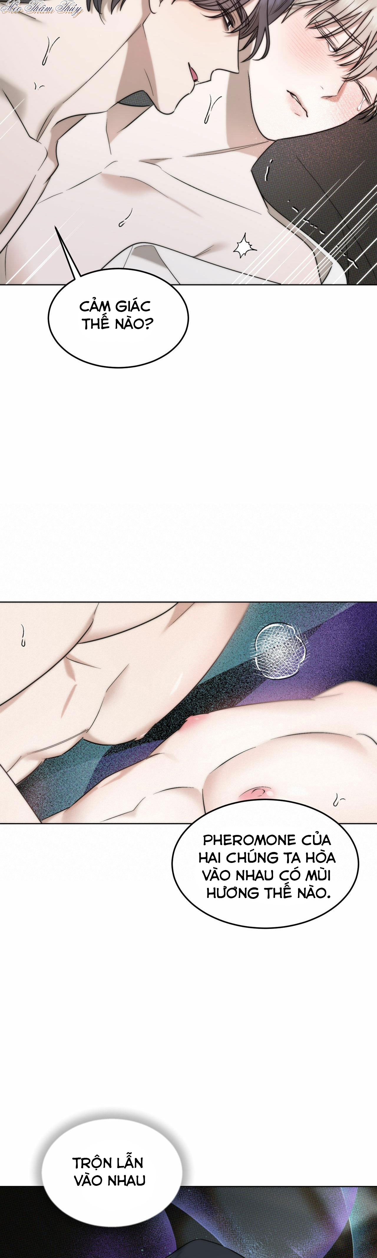 tinh chất quý chapter 4 6