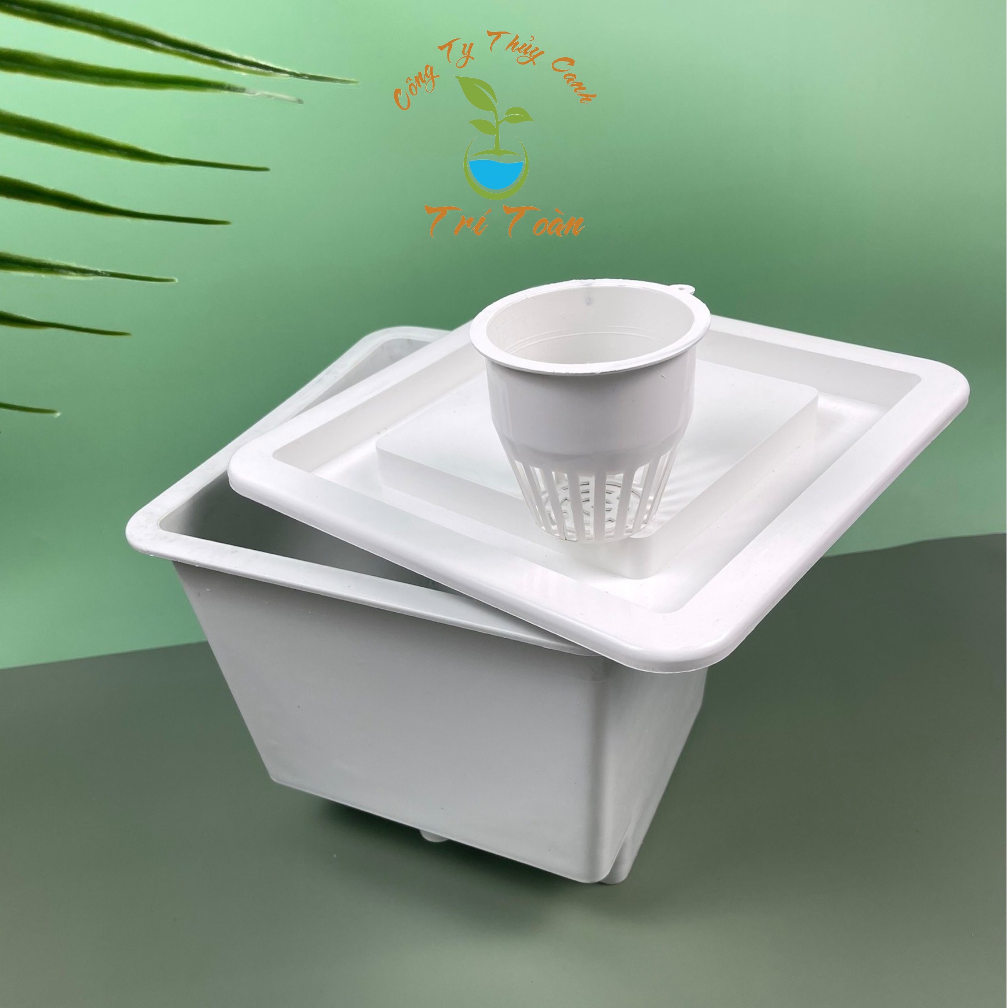 Thùng nhựa, chậu nhựa trồng thủy canh tĩnh cây ăn trái