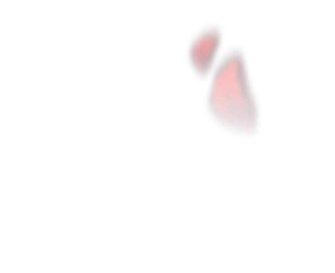 cách hiệp sĩ sống như một tiểu thư chapter 100.1 26