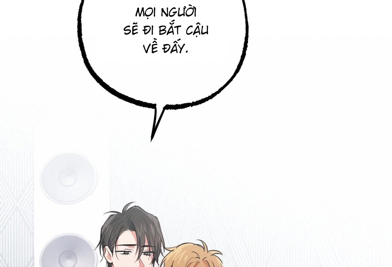 những chú thỏ của hapypy chapter 61 85