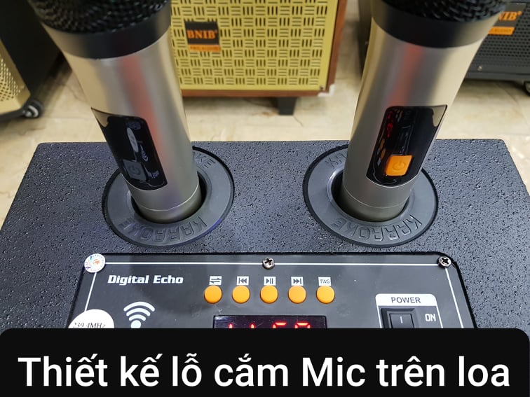 Loa kéo Karaoke Bluetooth CXF GL-807: Bass 20, Có 2 Micro không dây đi kèm