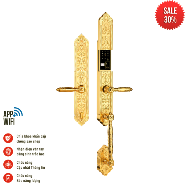Khóa điện tử FS 009-24K