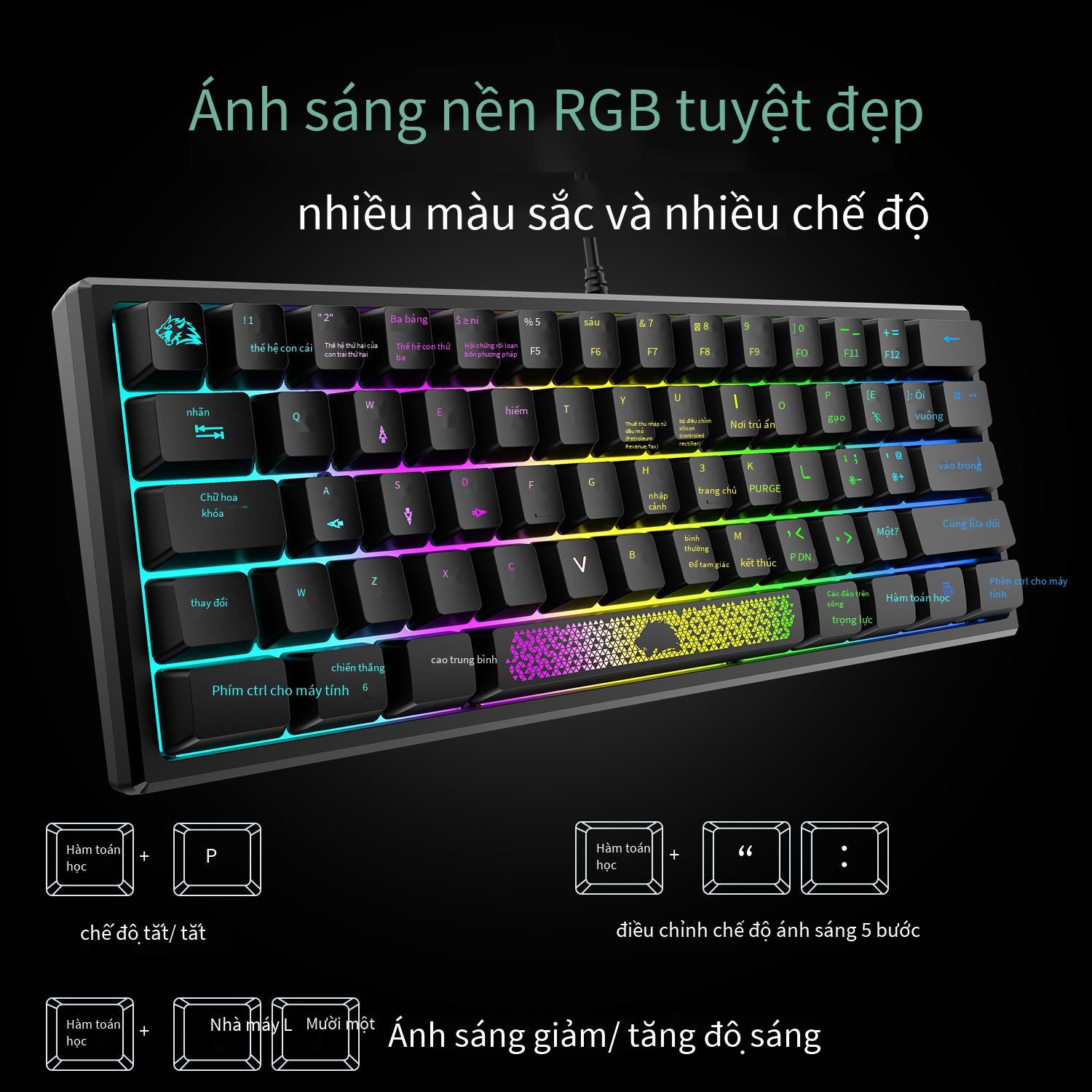 Bàn phím chơi game sói miễn phí thuận lợi nhất Bàn phím chơi game K61RGB ánh sáng RGB bàn phím mini tỷ lệ phần trăm 60 phần trăm bàn phím máy tính xách tay chơi game chơi game