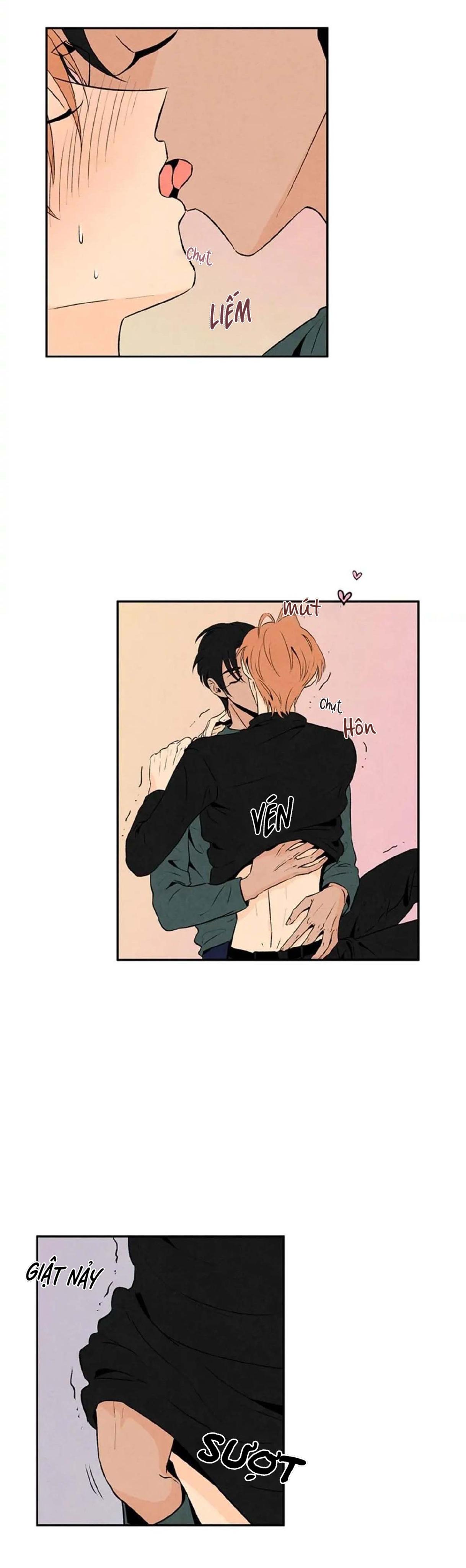 bona sort chapter 19 21