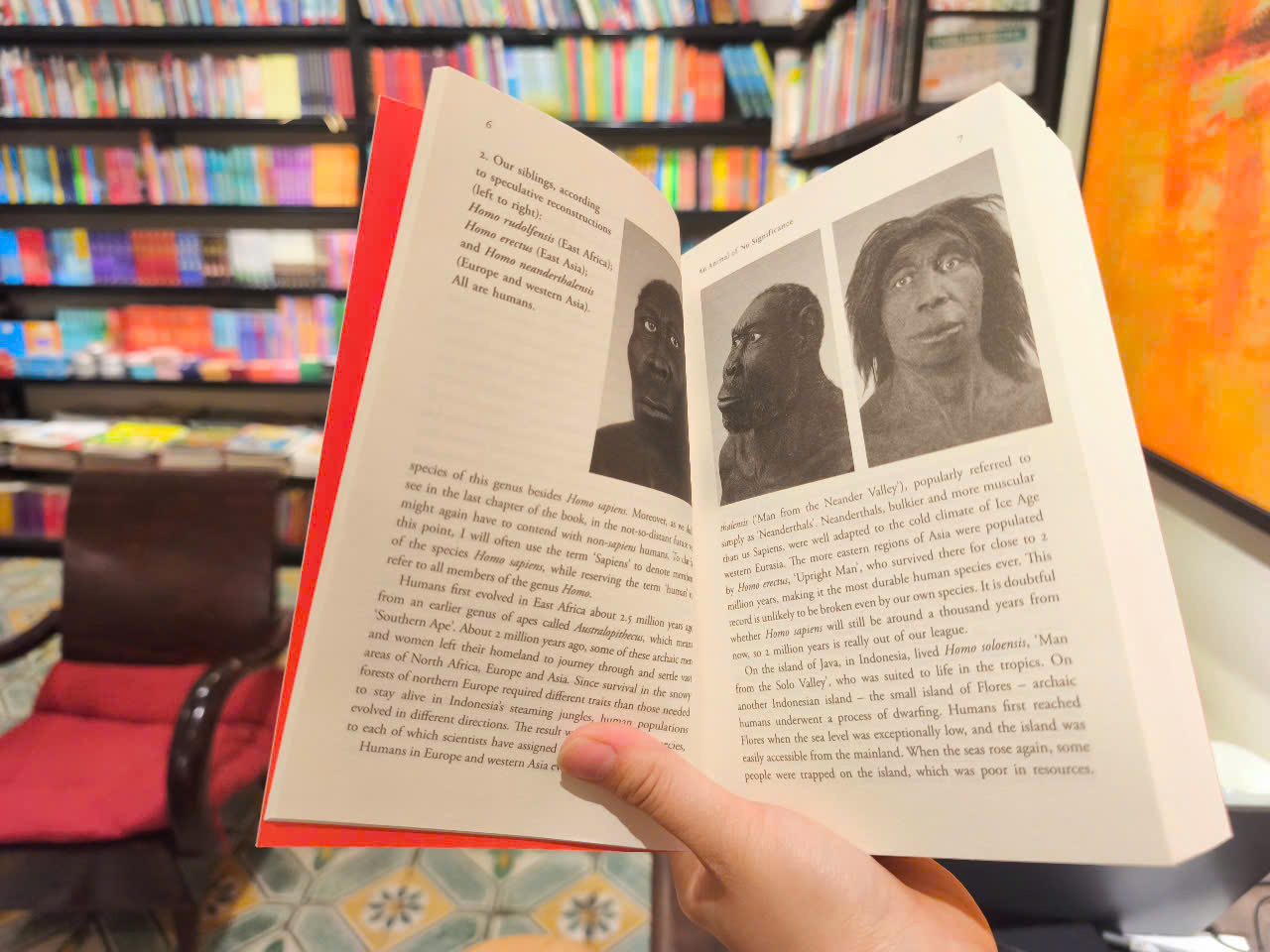 Sách - Sapiens: A Brief History of Humankind by Yuval Noah Harari/Civilization &amp; Culture/Multi-million copy bestseller