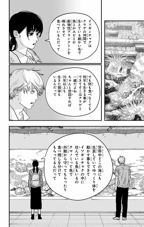 チェンソーマン 14 - Chainsaw Man 14