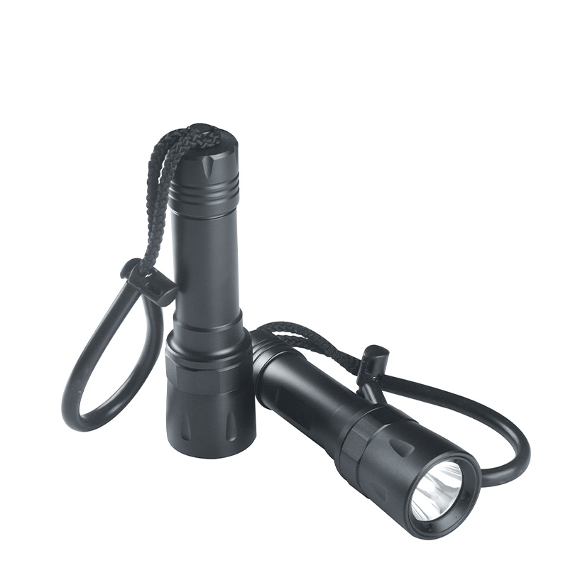 Đèn pin cho thợ lặn TERINO T51 (dùng dưới nước, 30w) - Hàng chính hãng