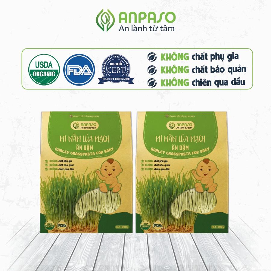 Combo 2 gói Mì rau củ mầm lúa mạch Ăn dặm hữu cơ Anpaso, eat clean, mỳ chay, ăn kiêng, thực dưỡng 600gr