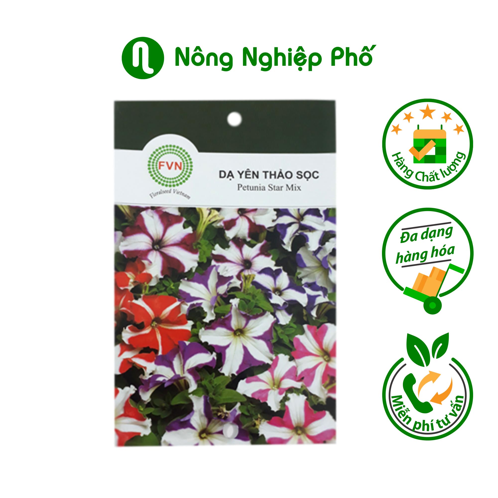 Hạt giống hoa Dạ Yên Thảo sọc FVN