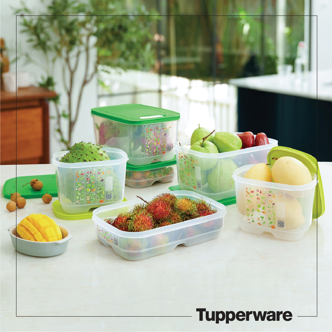 Bộ Hộp Tupperware Trữ Mát Có Nút Hô Hấp Ventsmart - Hàng Chính Hãng