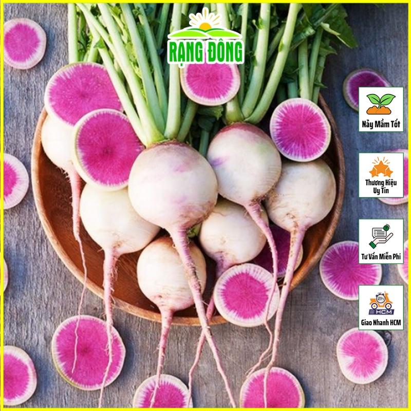 Hạt giống Củ Cải Ruột Hồng Dễ Trồng, Sinh Trưởng Khỏe - Hạt Giống Rạng Đông