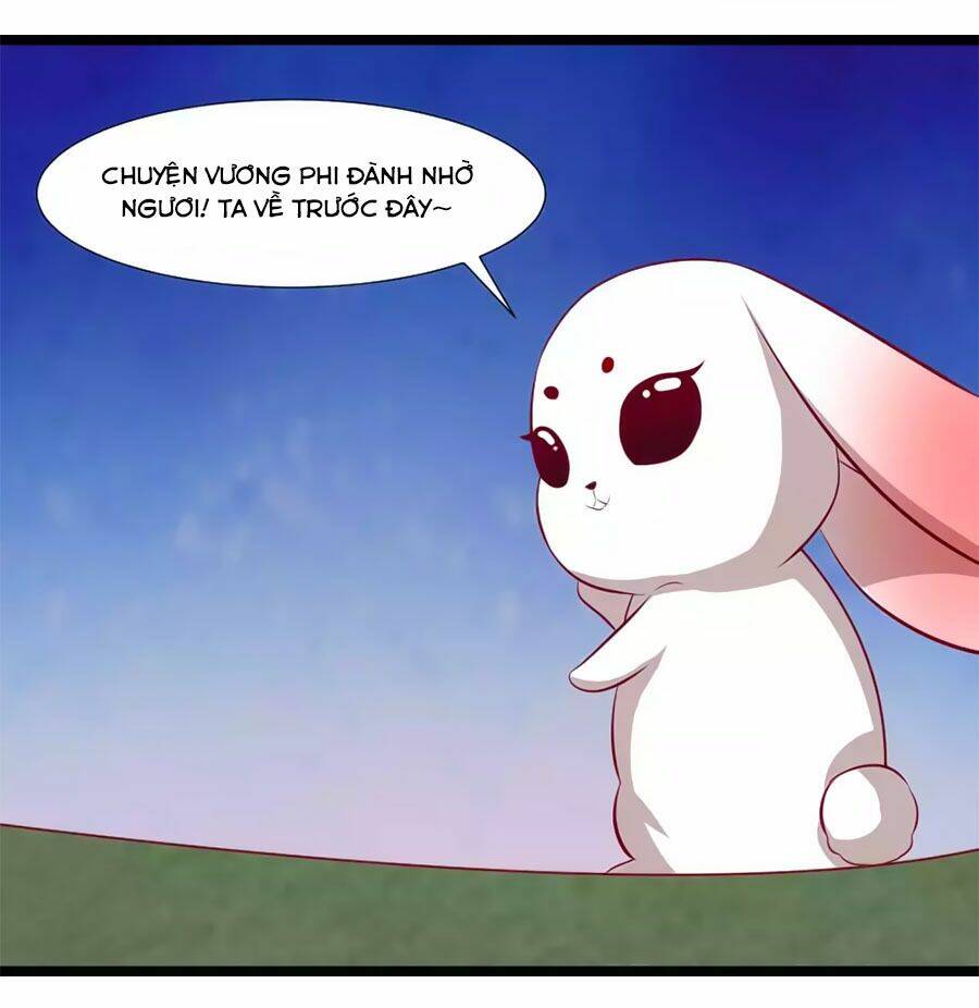 thỏ yêu tiểu vương phi chapter 66 21