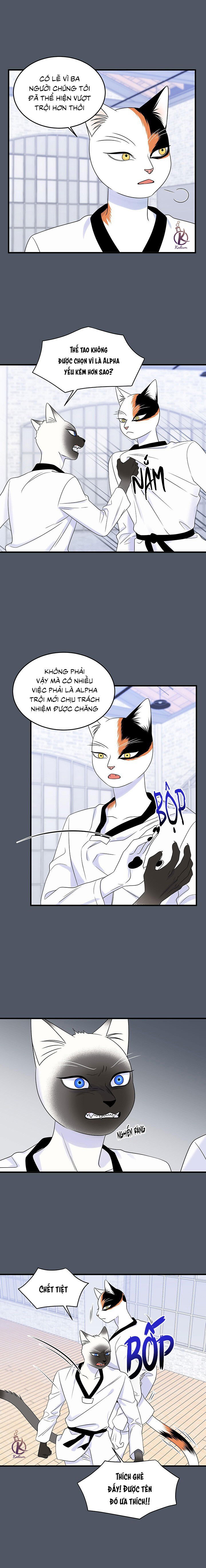 dự án xanh chapter 41 2