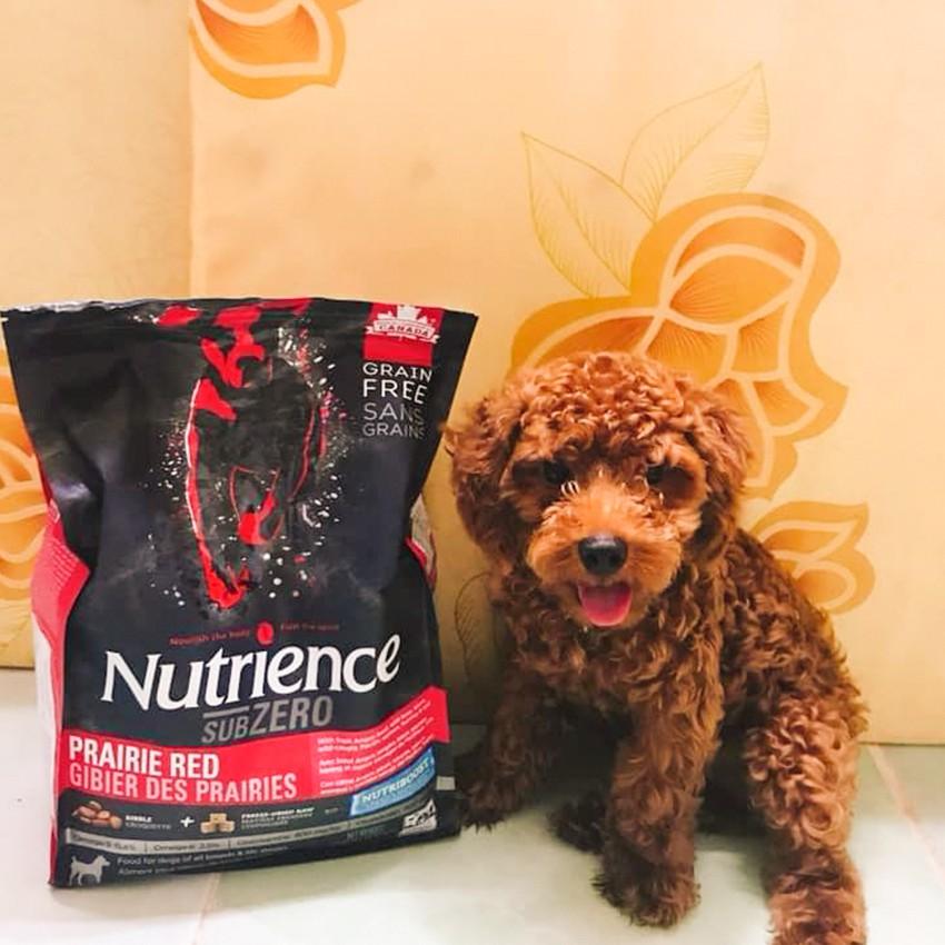 Thức Ăn Hạt Cho Chó Poodle Nutrience Subzero Da Lông Bóng Mượt Bao 5kg - 6 Loại Thịt Cá, Rau Củ, Trái Cây