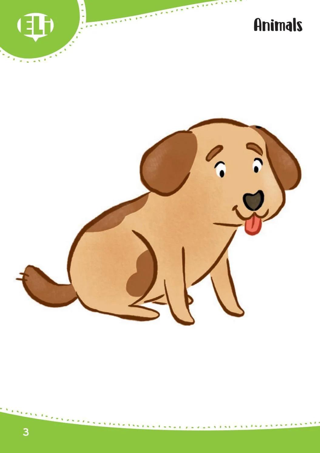 Sách ngoại văn: Words In Pictures (Printed Flashcards With Digital Code)