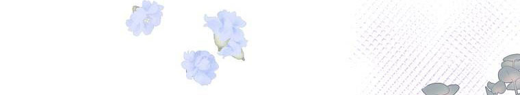 tôi sẽ cứu lấy nam chính tiểu thuyết bl chapter 23.1 168