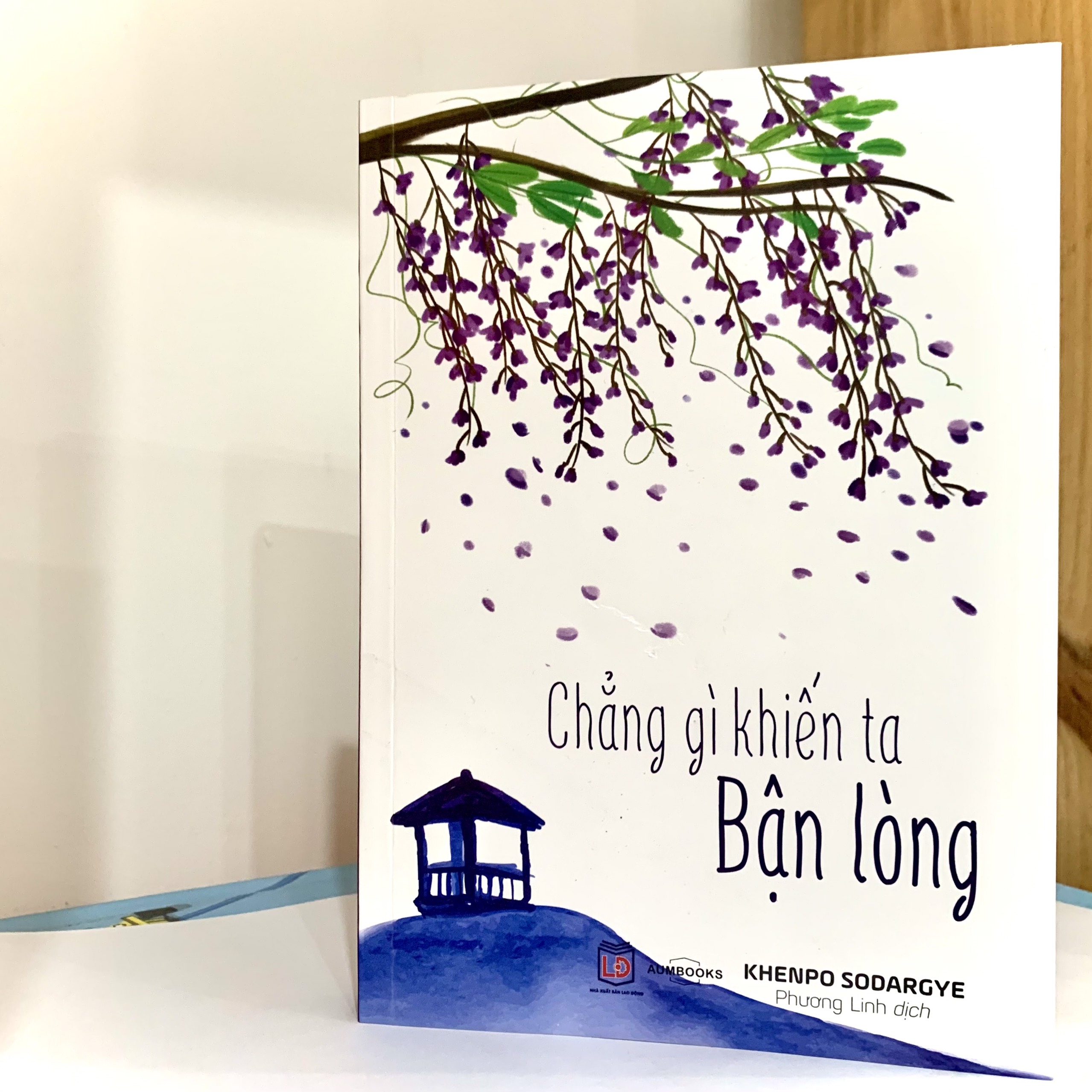 BỘ SÁCH "BẬN" ( Bạn Đang Bận Việc Gì Và Chẳng Gì Khiến Ta Bận Lòng ) - Sách Tôn Giáo, Nghệ Thuật Và Văn Hóa, Tác Giả KHENPO SODARGYE - Hiệu sách genbooks, bìa mềm, in màu