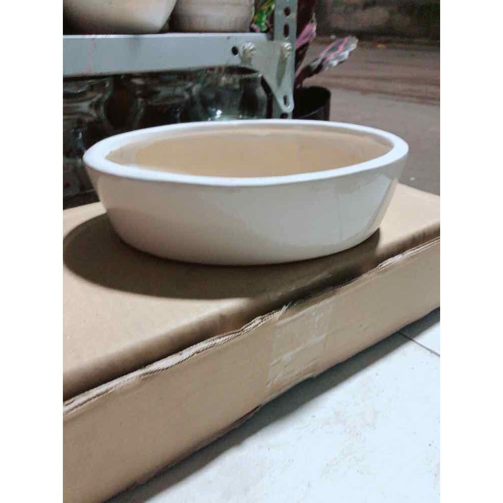 Chậu Trồng Cây Bán Chạy
