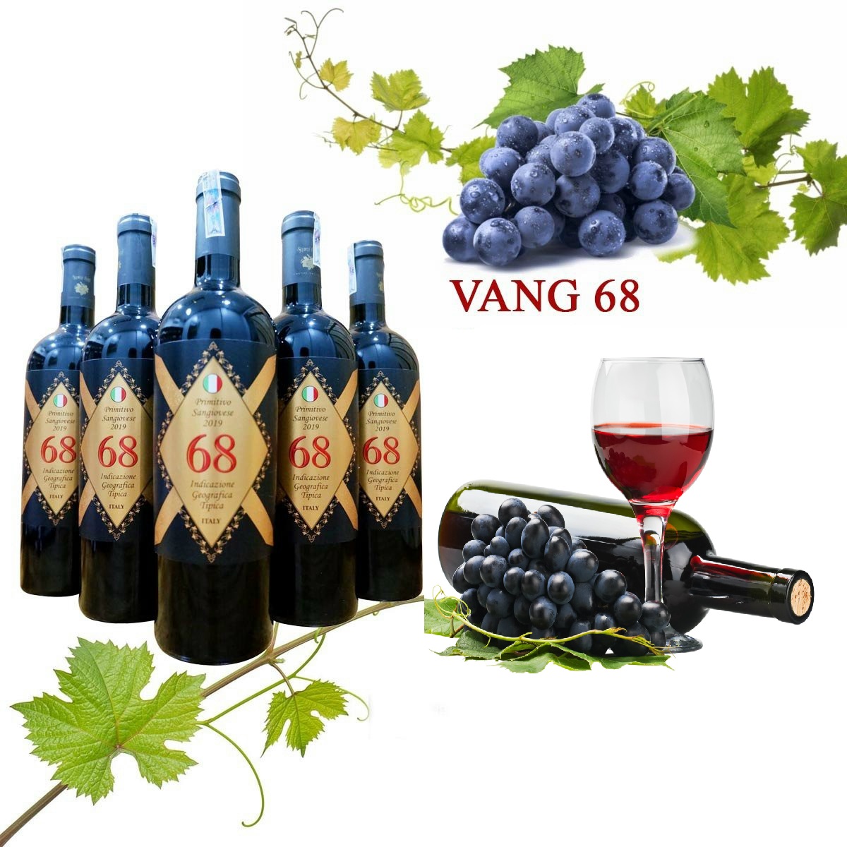 [Vang nhập khẩu chính hãng] Rượu vang Ý 68