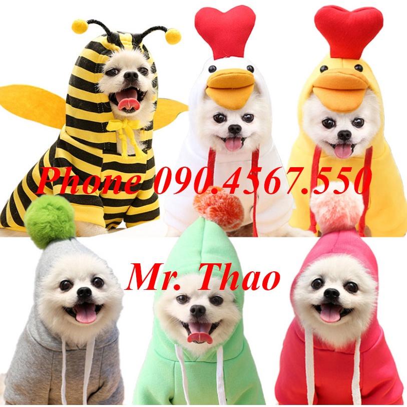 Áo cho chó mèo  , Áo Quần Thú Cưng