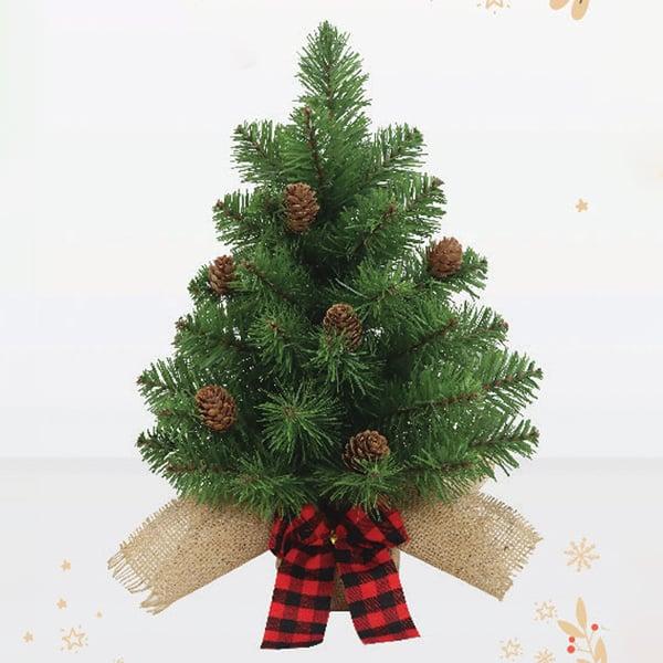 Cây Thông Mini Gắn Trái Thông - Trang Trí Noel 38 cm - Chaang Chiia LP-LU-P