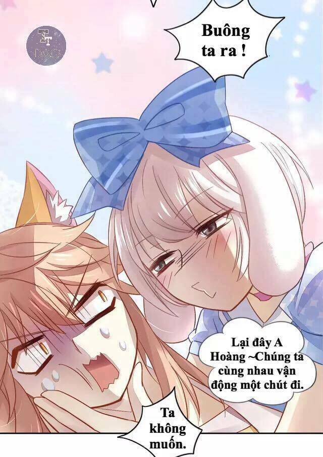 dưới móng vuốt mèo chapter 17 18