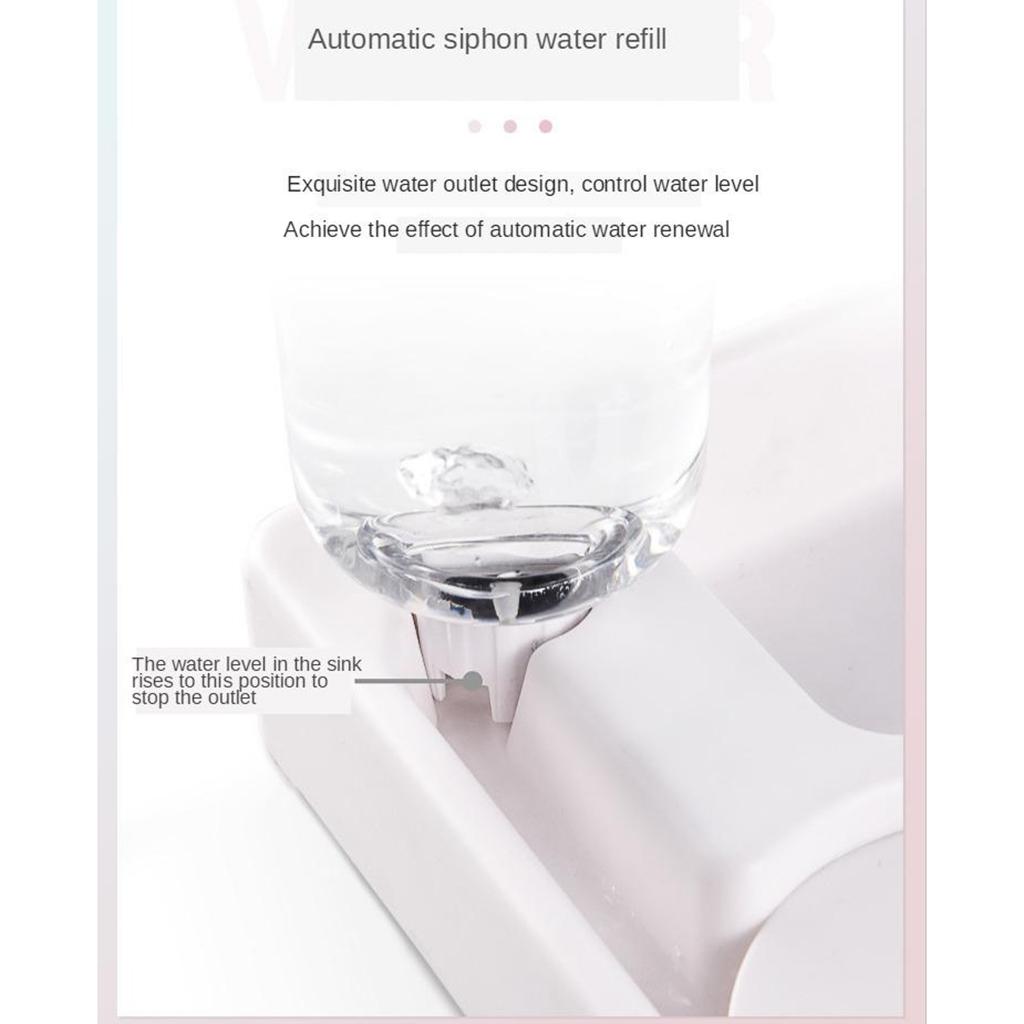 Automatic and Feeder Bowl Double Water Dispenser