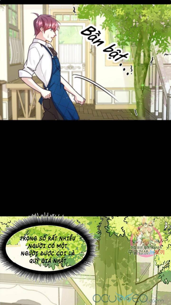 xin chào, tôi là người làm vườn! chapter 8 16
