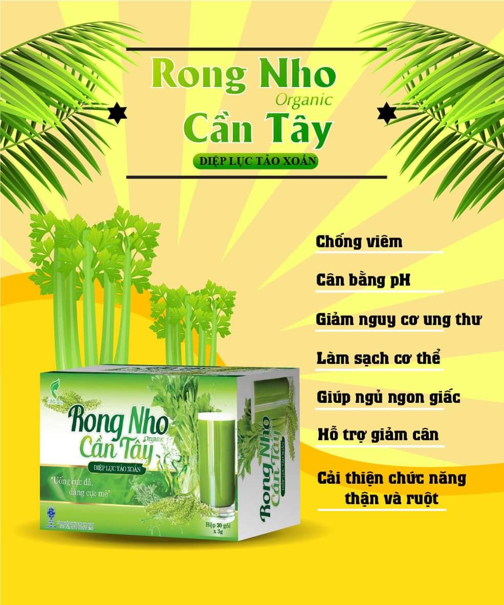 Rong nho cần tây diệp lục tảo xoắn organic