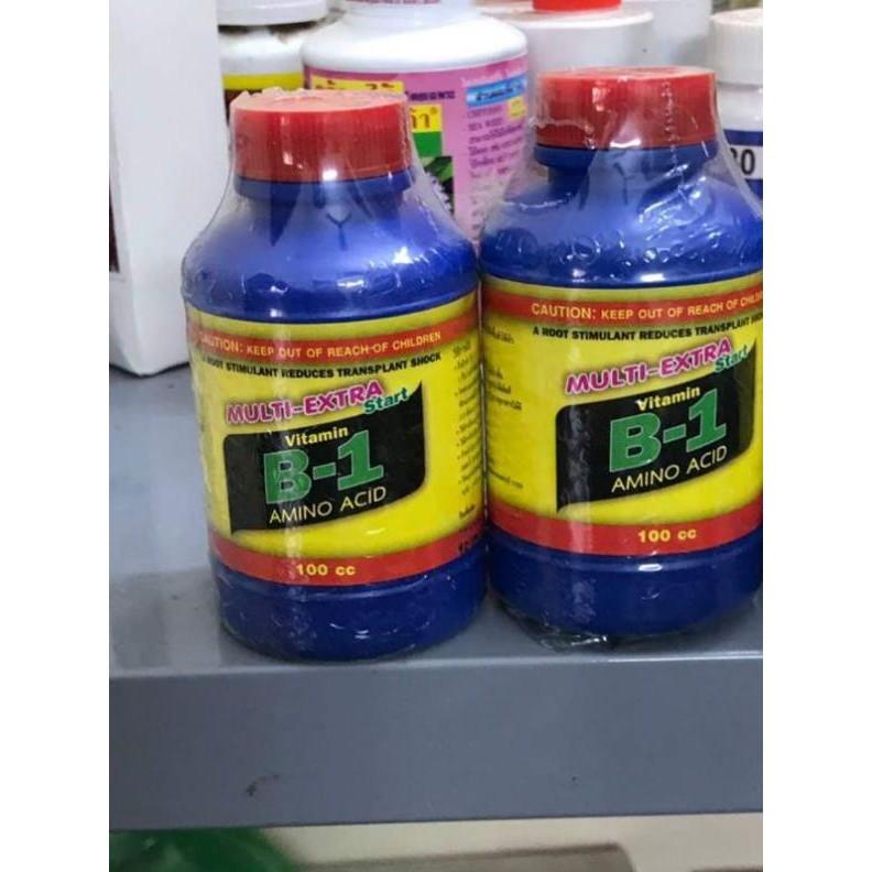 Vitamin B1 loại 100ml