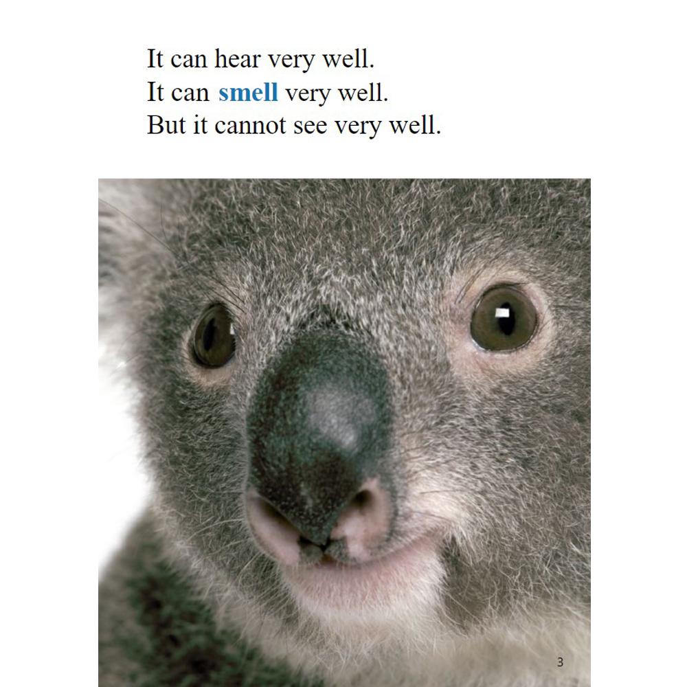 [Compass Reading Level 3-8] Koalas - Leveled Reader with Downloadable Audio