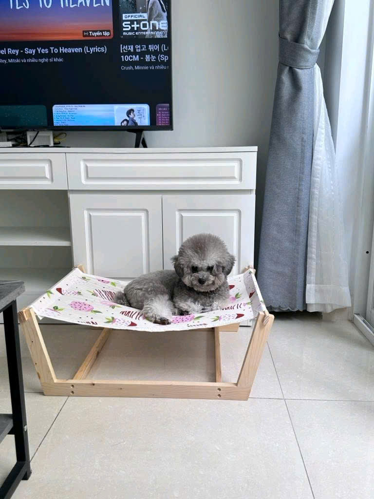 Võng cho thú cưng siêu cute