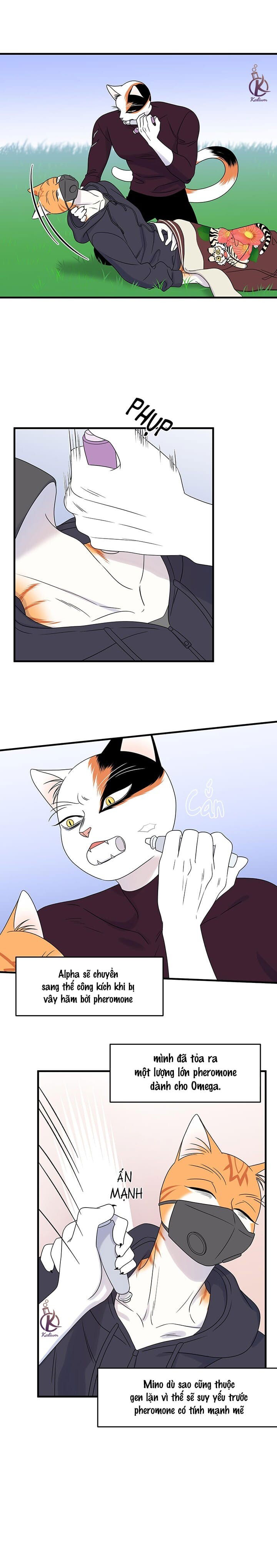 dự án xanh chapter 35 3