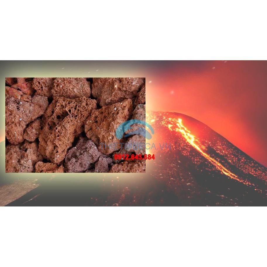 Nham Thạch Loại Tốt Lọc Nước Hồ Cá 1Kg - Hàng Công Ty