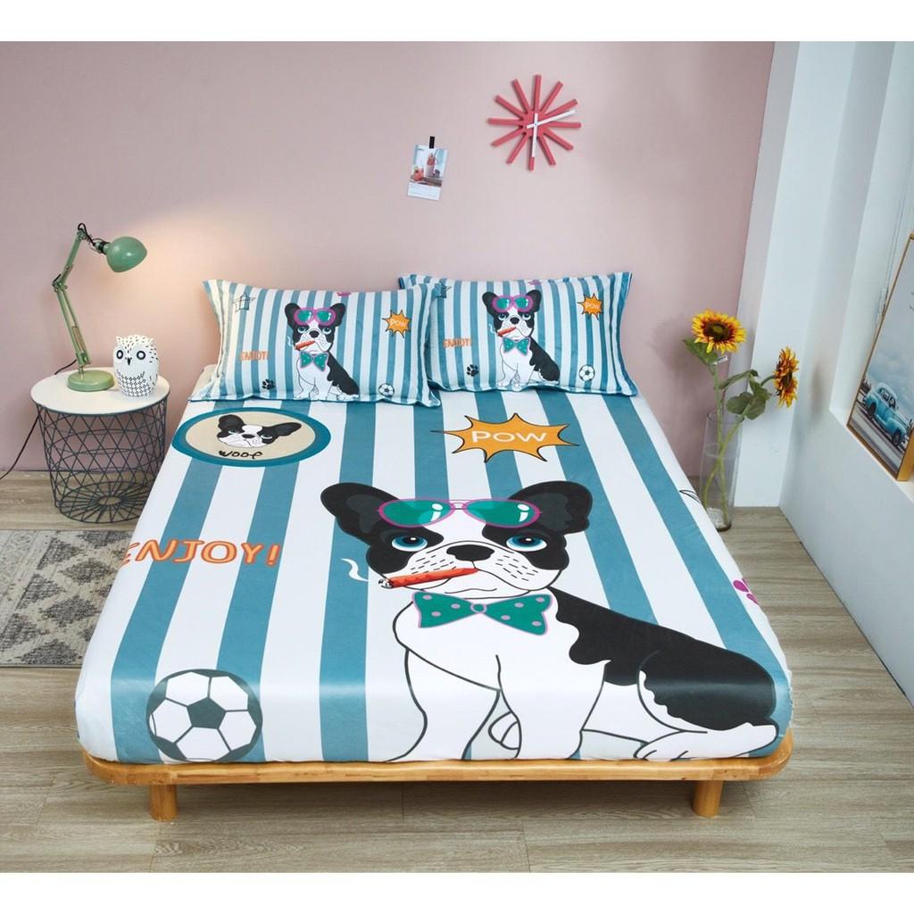 Bộ ga gối nỉ Hako cao cấp,gồm 1 ga 2 vỏ gối nằm,mẫu hổ vàng