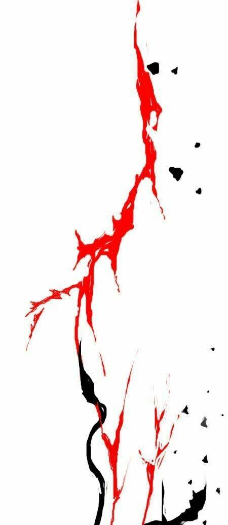 earth, human, and animal chapter 24 28