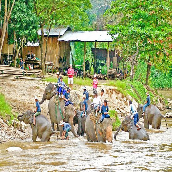 Hình ảnh [EVoucher Vietravel] Thái Lan: Chiangmai – Chiangrai: Khám phá Chùa Trắng & Tam Giác Vàng - Tặng vé tham quan Chiang Mai Night Safari