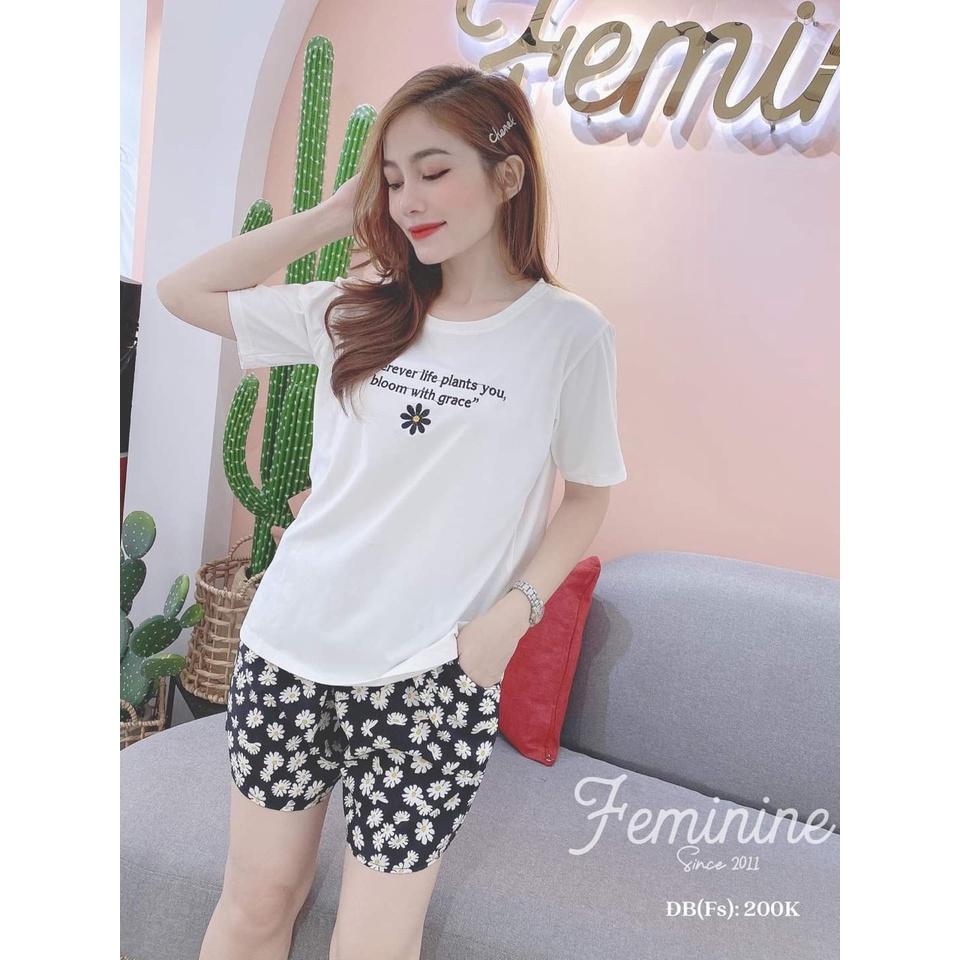 Đồ bộ, bộ đồ thun đùi chất cotton