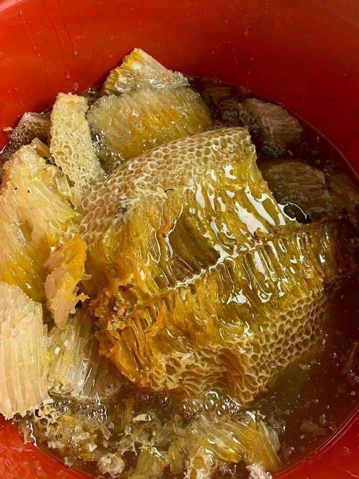 Mật Ong Nguyên Sáp DTFood