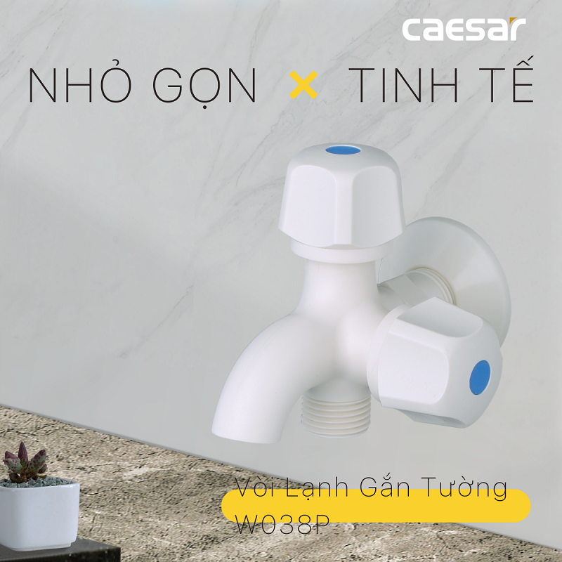 Vòi sen tắm lạnh gắn tường nhựa Caesar W038P (chưa bao gồm  tay dây, pát sen)