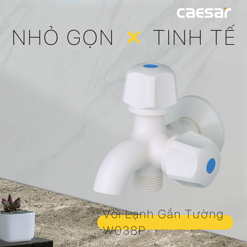 Vòi sen tắm lạnh gắn tường nhựa Caesar W038P