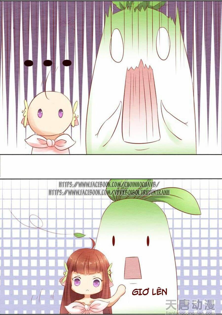 nhân hoa duyên chi sư phụ đại nhân cầu sủng ái chapter 10 5