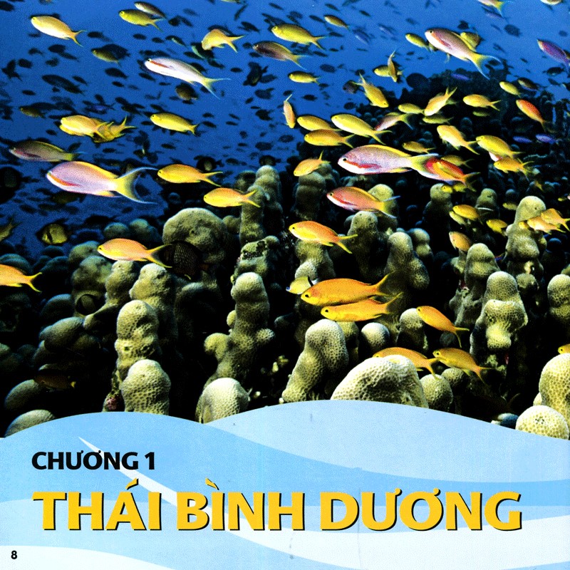 Cuốn Sách Lớn Đầu Tiên Của Tớ: Đại Dương