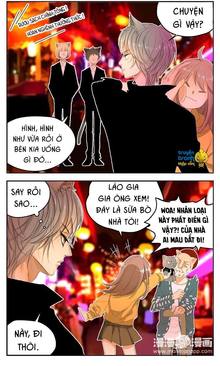 cứu mạng ! loài mèo thống trị thế giới rồi ! chapter 23 10
