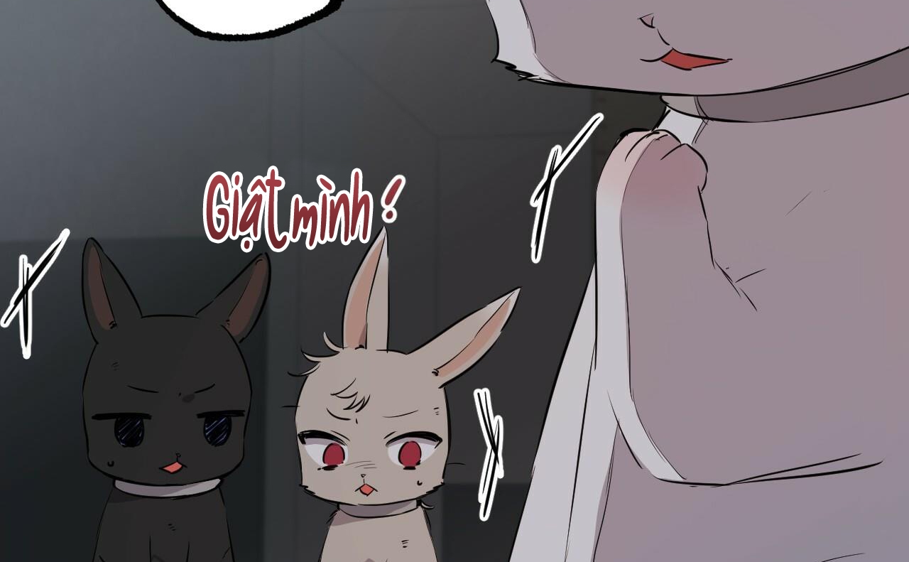 đàn thỏ của habibi chapter 46 253