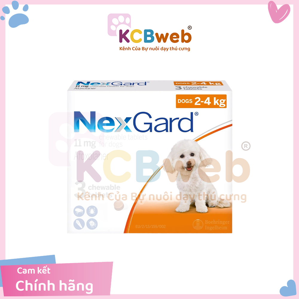 Viên NEXGARD ve, bọ nhảy, bọ chét cho thú cưng