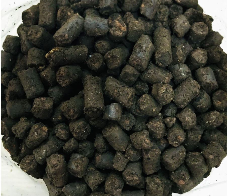Cốt Nền Thủy Sinh Magic Base
