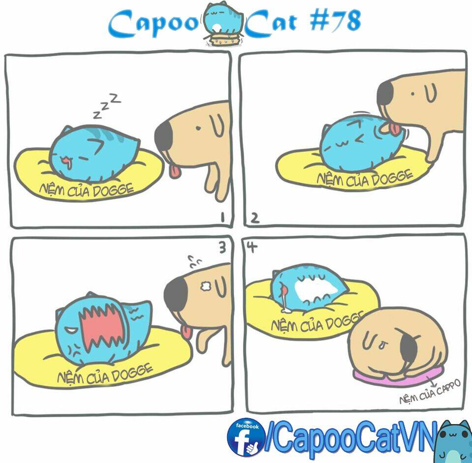 capoo cat chapter 8 8